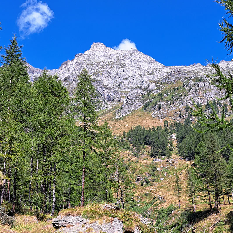 Alpe Devero