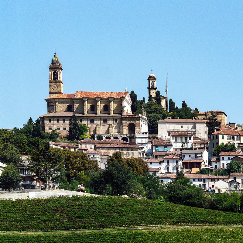 Vignale Monferrato